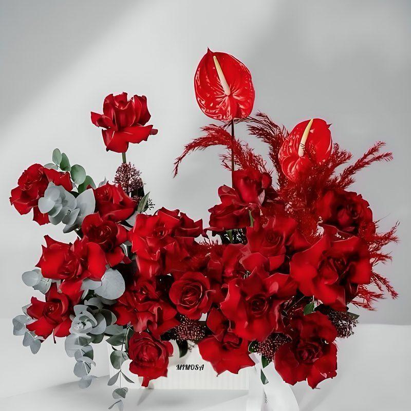 باکس گل رز آماندا