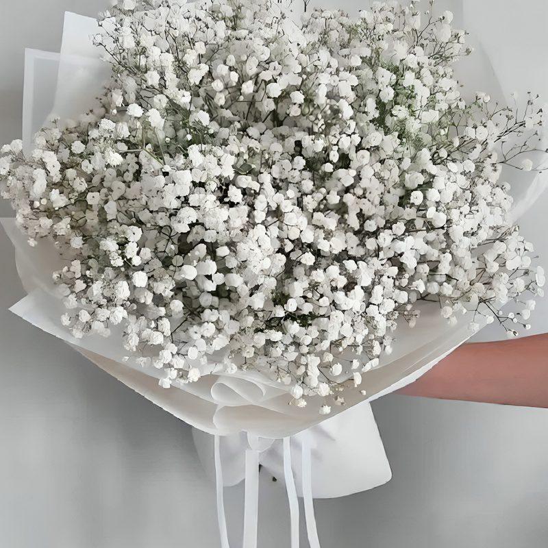 دسته گل ژیپسوفیلیا