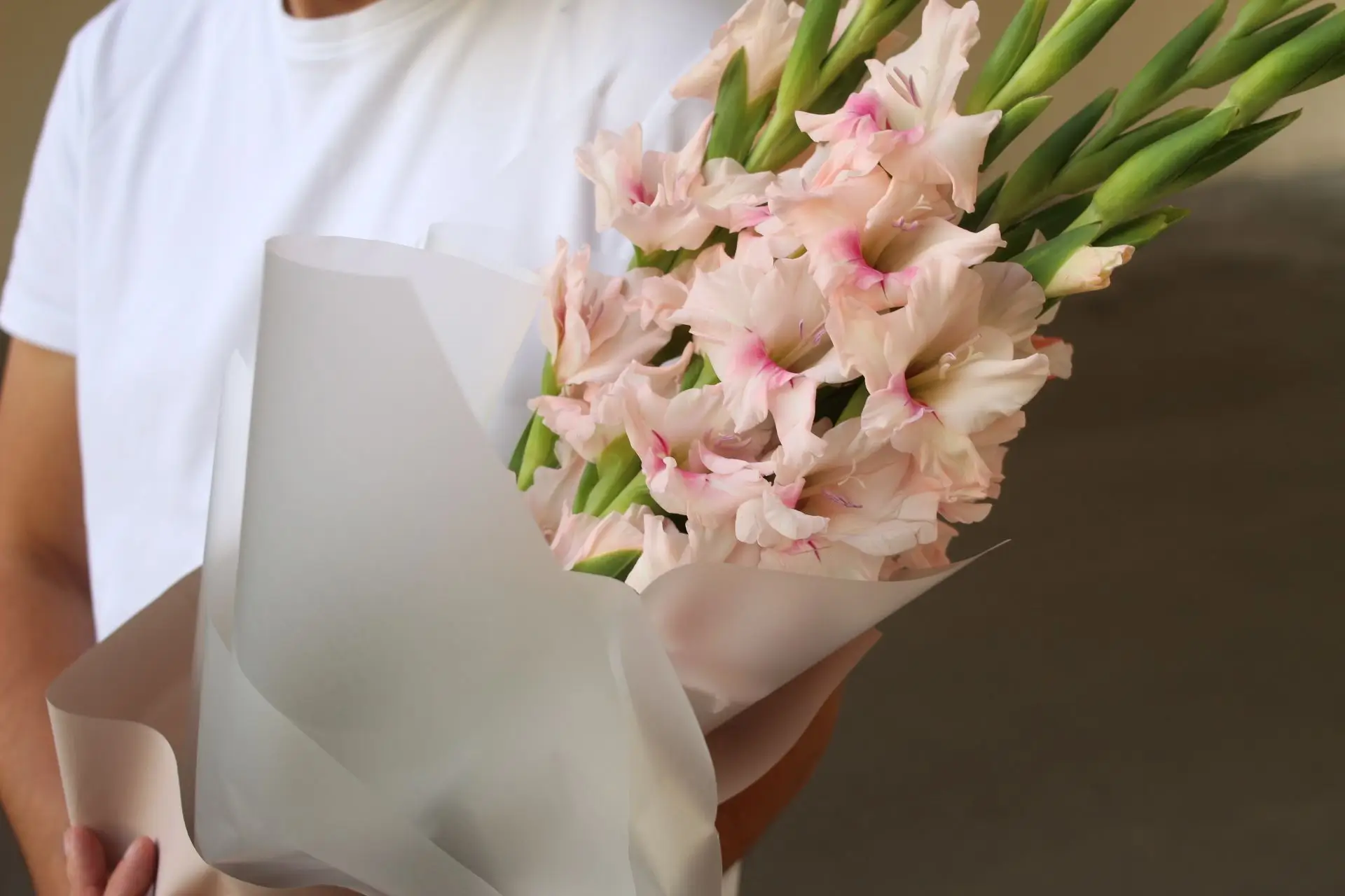 دسته گل گلایل