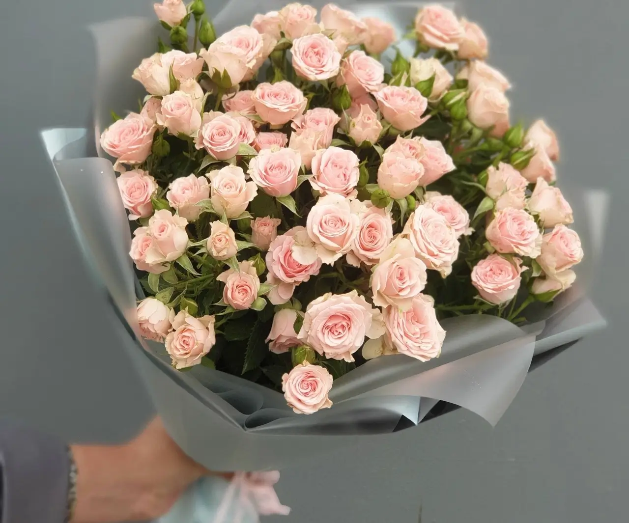 محصولات رز مینیاتوری